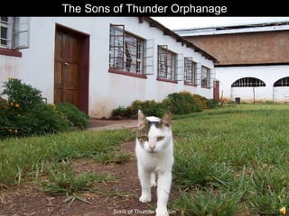 The Sons of Thunder Orphanage Sons of Thunder Mission 