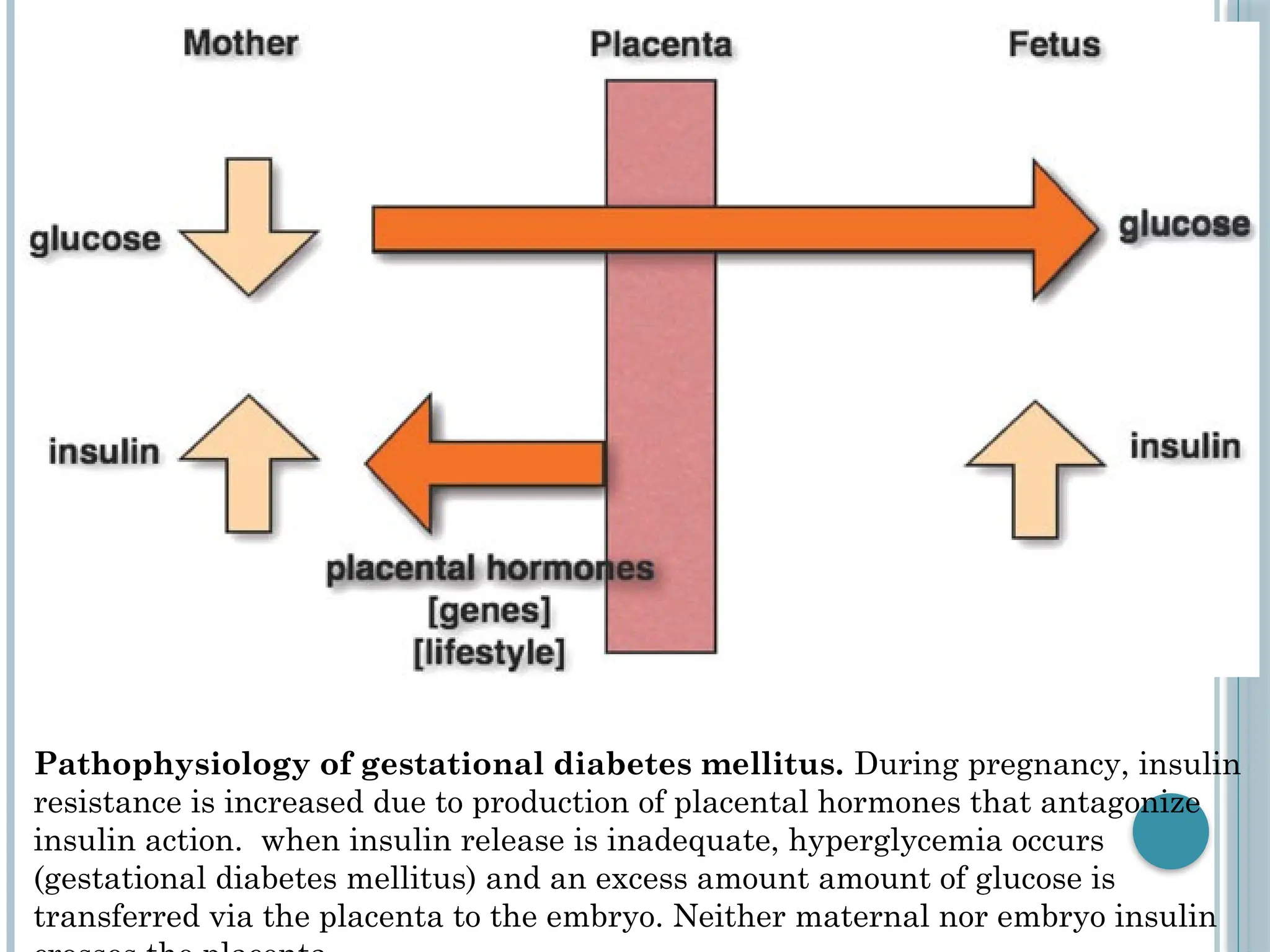 INFANT OF DIABETIC MOTHER copyslides.pptx | Pregnancy | Reproductive Health