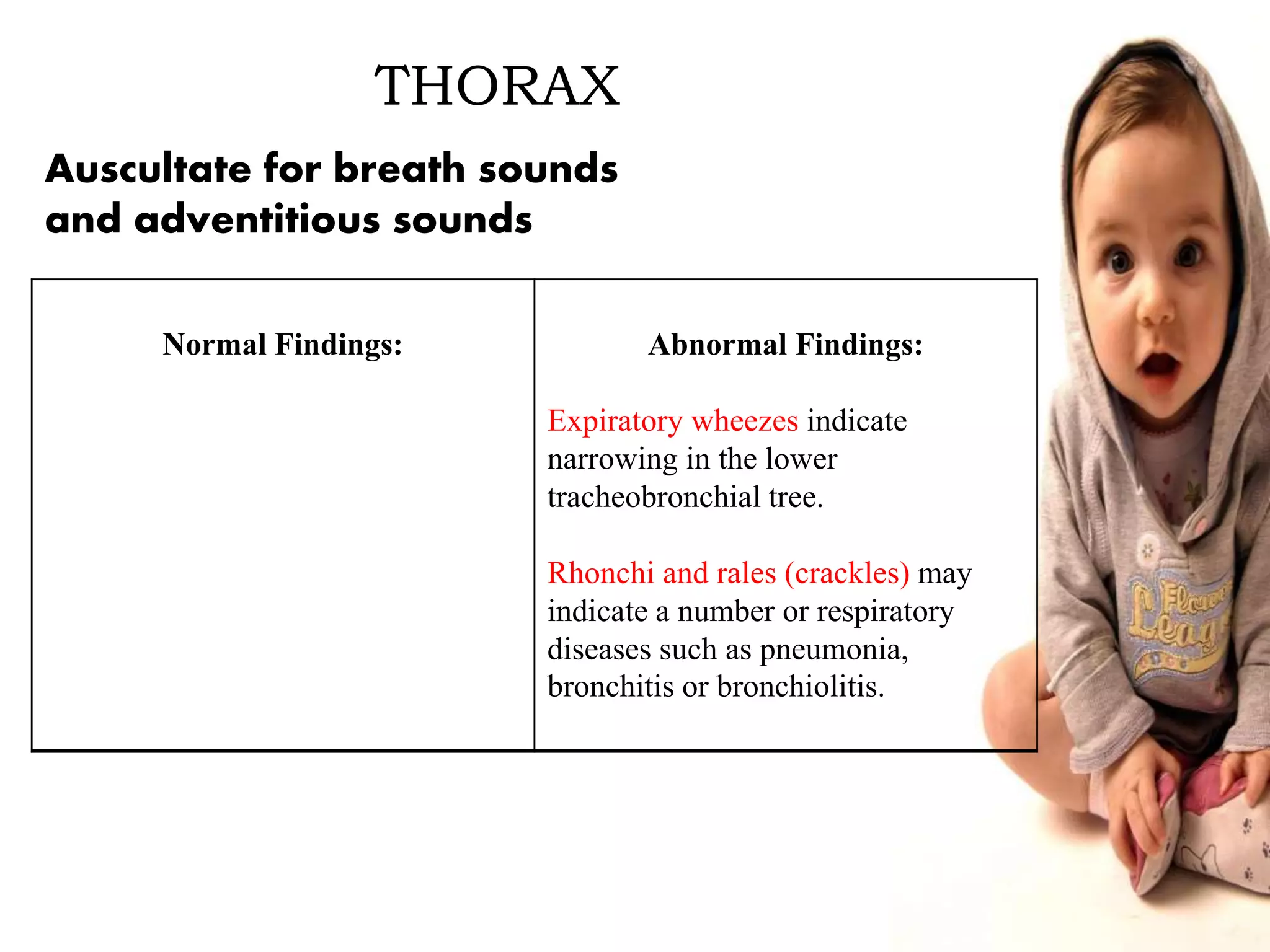 THORAX
Normal Findings: Abnormal Findings:
Expiratory wheezes indicate
narrowing in the lower
tracheobronchial tree.
Rhonchi and rales (crackles) may
indicate a number or respiratory
diseases such as pneumonia,
bronchitis or bronchiolitis.
Auscultate for breath sounds
and adventitious sounds
 
