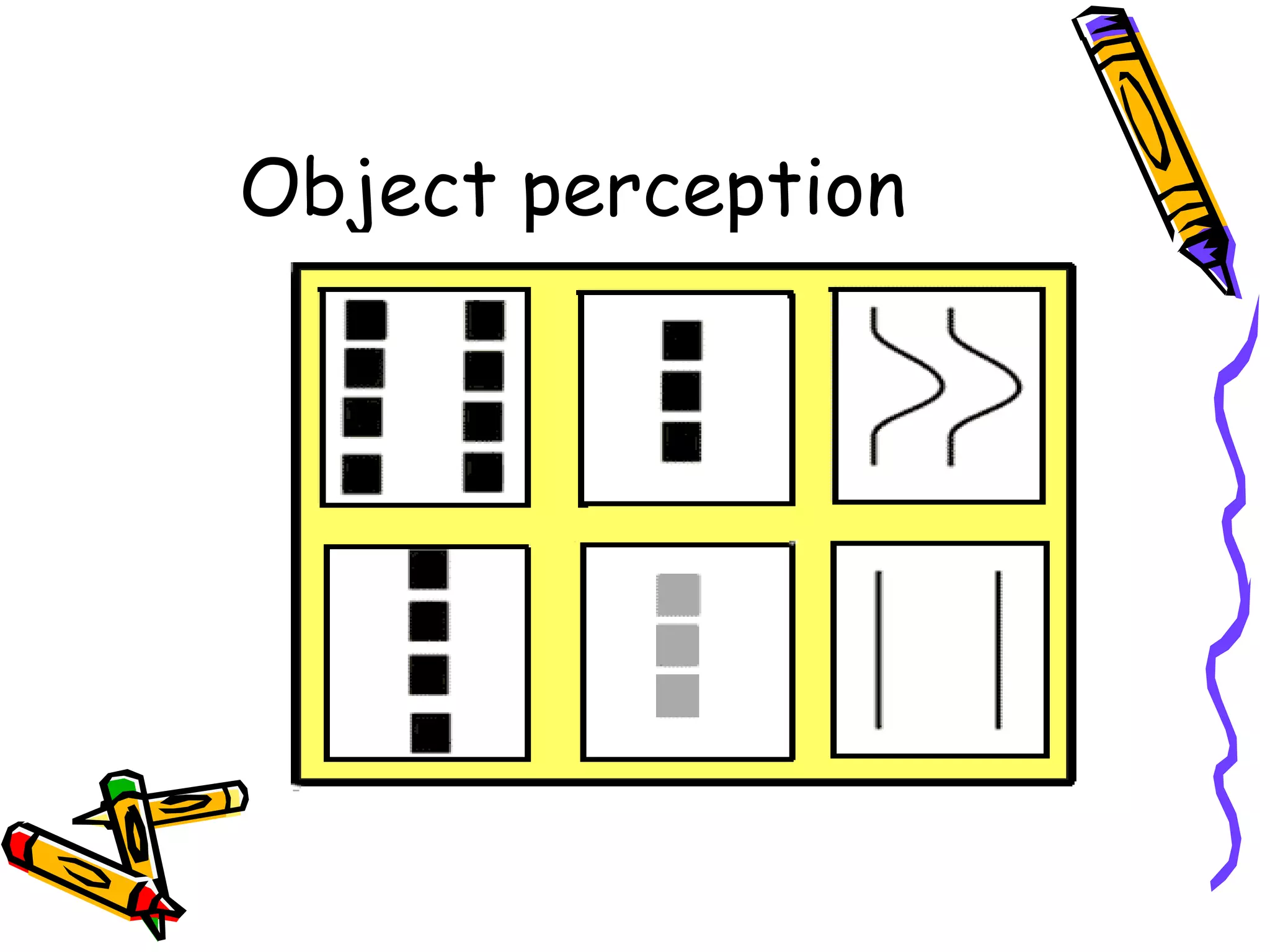 Object perception 