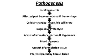 Pathogenesis
Local hyperemia
Affected part becomes edema & hemorrhage
Cellular changes- Reversible cell injury
Progressive Proteolysis
Acute inflammatory reaction & Hyperemia
Blood pigments
Growth of granulation tissue
Infarct replaced by fibrous tissue
 