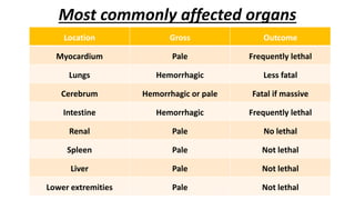 Most commonly affected organs
Location Gross Outcome
Myocardium Pale Frequently lethal
Lungs Hemorrhagic Less fatal
Cerebrum Hemorrhagic or pale Fatal if massive
Intestine Hemorrhagic Frequently lethal
Renal Pale No lethal
Spleen Pale Not lethal
Liver Pale Not lethal
Lower extremities Pale Not lethal
 