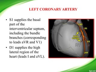 • S1 supplies the basal
part of the
interventricular septum,
including the bundle
branches (corresponding
to leads aVR and V1)
• D1 supplies the high
lateral region of the
heart (leads I and aVL).
LEFT CORONARY ARTERY
 