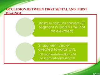 OCCLUSION BETWEEN FIRST SEPTALAND FIRST
DIAGNOL
 