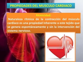 PROPIEDADES DEL MUSCULO CARDIACO
Ritmicidad:
Naturaleza rítmica de la contracción del músculo
cardíaco es una propiedad in...