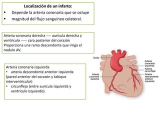 Localización de un infarto:
 Depende la arteria coronaria que se ocluye
 magnitud del flujo sanguíneo colateral.
Arteria coronaria derecha ---- aurícula derecha y
ventrículo ----- cara posterior del corazón
Proporciona una rama descendente que irriga el
nodulo AV.
Arteria coronaria izquierda
• arteria descendente anterior izquierda
(pared anterior del corazón y tabique
interventricular)
• circunfleja (entre aurícula izquierda y
ventrículo izquierdo).
 