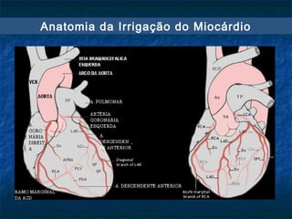 Anatomia da Irrigação do Miocárdio
 
