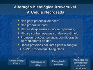  Não gera potencial de ação;Não gera potencial de ação;
 Não produz vetores;Não produz vetores;
 Não se despolariza e não se repolariza;Não se despolariza e não se repolariza;
 Não se contrai, apenas conduz o estímulo;Não se contrai, apenas conduz o estímulo;
 Promove reações teciduais com liberaçãoPromove reações teciduais com liberação
de mediadores da dor;de mediadores da dor;
 Libera proteínas celulares para o sangue:Libera proteínas celulares para o sangue:
CK-MB, Troponinas, Mioglobina.CK-MB, Troponinas, Mioglobina.
Alteração histológica irreversívelAlteração histológica irreversível
A Célula NecrosadaA Célula Necrosada
Sintomatologia
Clínica
Alterações no
ECG
Elevação de
enzimas
Alterações na
contratilidade
cardíaca:
hipocinesia
 