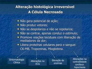Não gera potencial de ação; Não produz vetores; Não se despolariza e não se repolariza; Não se contrai, apenas conduz o estímulo;  Promove reações teciduais com liberação de mediadores da dor; Libera proteínas celulares para o sangue:  CK-MB, Troponinas, Mioglobina. Alteração histológica irreversível  A Célula Necrosada  Sintomatologia Clínica Alterações no ECG Elevação de enzimas Alterações na contratilidade cardíaca: hipocinesia 