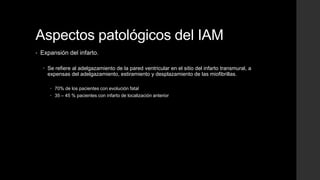Aspectos patológicos del IAM
• Expansión del infarto.
 Se refiere al adelgazamiento de la pared ventricular en el sitio del infarto transmural, a
expensas del adelgazamiento, estiramiento y desplazamiento de las miofibrillas.
 70% de los pacientes con evolución fatal
 35 – 45 % pacientes con infarto de localización anterior
 