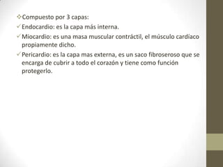 Compuesto por 3 capas:
Endocardio: es la capa más interna.
Miocardio: es una masa muscular contráctil, el músculo cardíaco
propiamente dicho.
Pericardio: es la capa mas externa, es un saco fibroseroso que se
encarga de cubrir a todo el corazón y tiene como función
protegerlo.
 