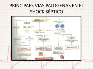 PRINCIPAES VIAS PATOGENAS EN EL
        SHOCK SÉPTICO
 