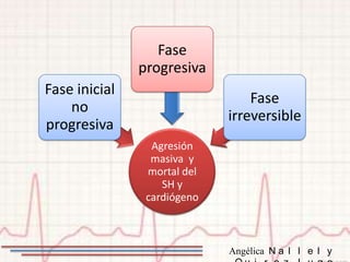 Fase
               progresiva
Fase inicial
                                 Fase
    no
                             irreversible
progresiva
                 Agresión
                 masiva y
                mortal del
                   SH y
                cardiógeno



                             Angélica N a l l e l y
 