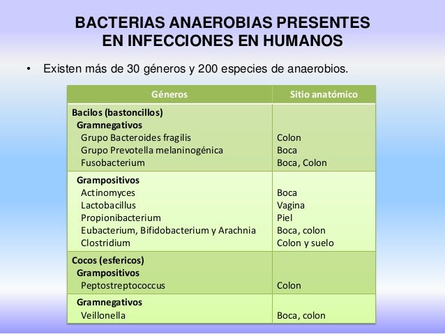 Lista De Bacterias Anaerobicas Anaerobic Vs Aerobic Bacteria
