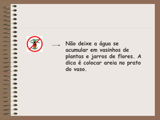 Não deixe a água se acumular em vasinhos de plantas e jarros de flores. A dica é colocar areia no prato do vaso. 