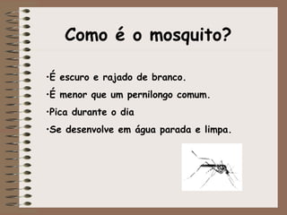 Como é o mosquito? É escuro e rajado de branco.  É menor que um pernilongo comum.  Pica durante o dia  Se desenvolve em água parada e limpa.  