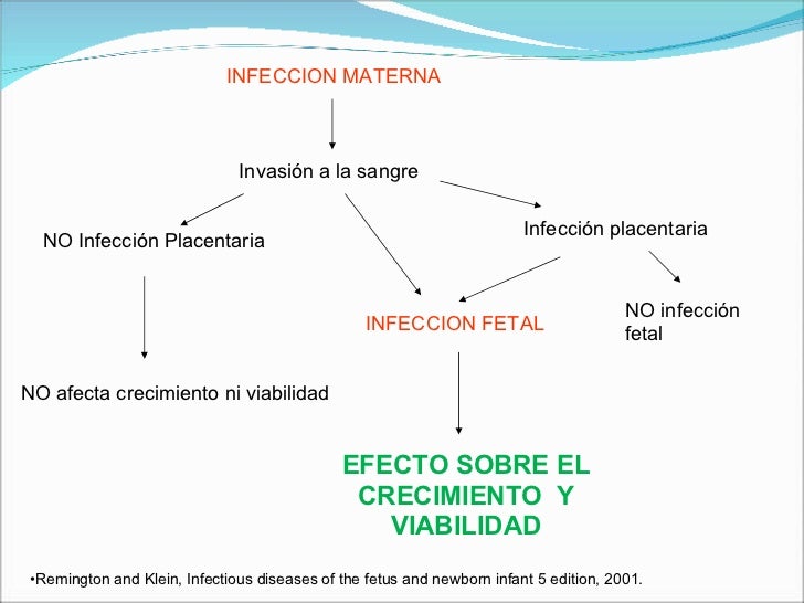 remington and klein infectious diseases pdf download