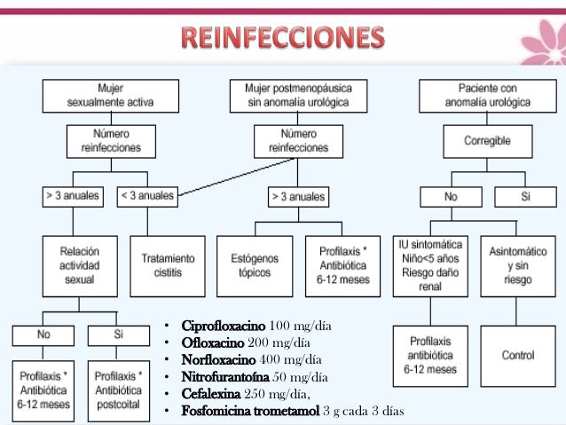Infección de vías urinarias Infección de vías urinarias