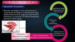 Capa Recurrente Infección de vías urinarias | PPTX