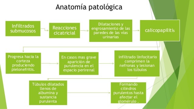 infeccion de vias urinarias pediatria pdf