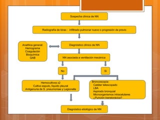 Sospecha clínica de NN




                 Radiografía de tórax : infiltrado pulmonar nuevo o progresión de previo




Analítica general:                     Diagnóstico clínico de NN
  Hemograma
  Coagulación
  Bioquímica
       GAB                        NN asociada a ventilación mecánica




                                No                                   Si



               Hemocultivos x2                            Broncoscopía:
        Cultivo esputo, líquido pleural                    Catéter telescopado
  Antigenuria de S. pneumoniae y Legionella                LBA
                                                           Aspirado bronquial
                                                           Microorganismos intracelulares
                                                           ¿Punción transtorácica?



                                      Diagnóstico etiológico de NN
 