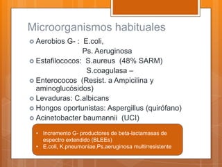 Microorganismos habituales
 Aerobios  G- : E.coli,
                 Ps. Aeruginosa
 Estafilococos: S.aureus (48% SARM)
                  S.coagulasa –
 Enterococos (Resist. a Ampicilina y
  aminoglucósidos)
 Levaduras: C.albicans
 Hongos oportunistas: Aspergillus (quirófano)
 Acinetobacter baumannii (UCI)

  • Incremento G- productores de beta-lactamasas de
    espectro extendido (BLEEs)
  • E.coli, K.pneumoniae,Ps.aeruginosa multirresistente
 