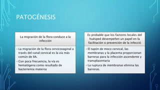 PATOGÉNESIS
La migración de la flora conduce a la
infección
• La migración de la flora cervicovaginal a
través del canal cervical es la vía más
común de IIA.
• Con poca frecuencia, la vía es
hematógena como resultado de
bacteriemia materna
Es probable que los factores locales del
huésped desempeñen un papel en la
facilitación o prevención de la infecció
• El tapón de moco cervical, las
membranas y la placenta proporcionan
barreras para la infección ascendente y
transplacentaria
• La ruptura de membranas elimina las
barreras.
 