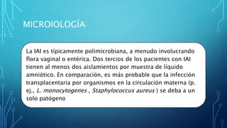 MICROIOLOGÍA
La IAI es típicamente polimicrobiana, a menudo involucrando
flora vaginal o entérica. Dos tercios de los pacientes con IAI
tienen al menos dos aislamientos por muestra de líquido
amniótico. En comparación, es más probable que la infección
transplacentaria por organismos en la circulación materna (p.
ej., L. monocytogenes , Staphylococcus aureus ) se deba a un
solo patógeno
 