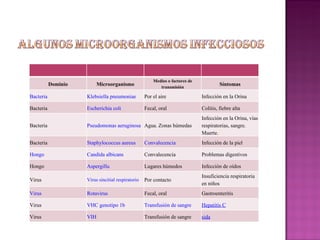 Dominio Microorganismo Medios o factores de transmisión Síntomas Bacteria Klebsiella pneumoniae Por el aire Infección en la Orina Bacteria Escherichia coli Fecal, oral Colitis, fiebre alta Bacteria Pseudomonas aeruginosa Agua. Zonas húmedas Infección en la Orina, vías respiratorias, sangre. Muerte. 3 Bacteria Staphylococcus aureus Convalecencia Infección de la piel Hongo Candida albicans Convalecencia Problemas digestivos Hongo Aspergillu Lugares húmedos Infección de oídos Virus Virus sincitial respiratorio Por contacto Insuficiencia respiratoria en niños Virus Rotavirus Fecal, oral Gastroenteritis Virus VHC genotipo 1b Transfusión de sangre Hepatitis C Virus VIH Transfusión de sangre sida 