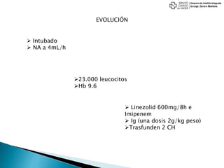 EVOLUCIÓN
 Intubado
 NA a 4mL/h
 Linezolid 600mg/8h e
Imipenem
 Ig (una dosis 2g/kg peso)
Trasfunden 2 CH
23.000 leucocitos
Hb 9.6
 