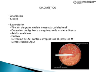 DIAGNÓSTICO
• Anamnesis
• Clínica
• Laboratorio:
-Tinción de gram: excluir muestras cavidad oral
-Detección de Ag: frotis sanguíneo o de manera directa
-Ácidos nucleicos
-Cultivo
-Detección de Ac: contra estreptolisina O, proteína M
-Demostración: Ag A
 
