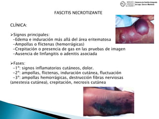 FASCITIS NECROTIZANTE
CLÍNICA:
Signos principales:
-Edema e induración más allá del área eritematosa
-Ampollas o flictenas (hemorrágicas)
-Crepitación o presencia de gas en las pruebas de imagen
-Ausencia de linfangitis o adenitis asociada
Fases:
-1º: signos inflamatorios cutáneos, dolor.
-2º: ampollas, flictenas, induración cutánea, fluctuación
-3º: ampollas hemorrágicas, destrucción fibras nerviosas
(anestesia cutánea), crepitación, necrosis cutánea
 