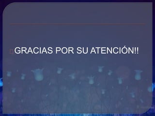 GRACIAS POR SU ATENCIÓN!!
 