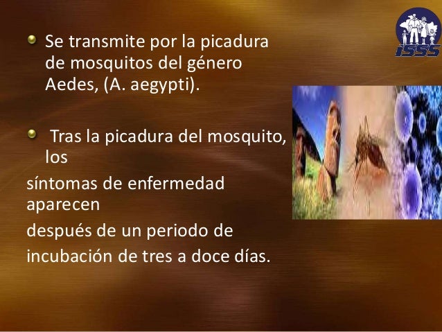 Los medicamentos modernos para el tratamiento de la osteocondrosis