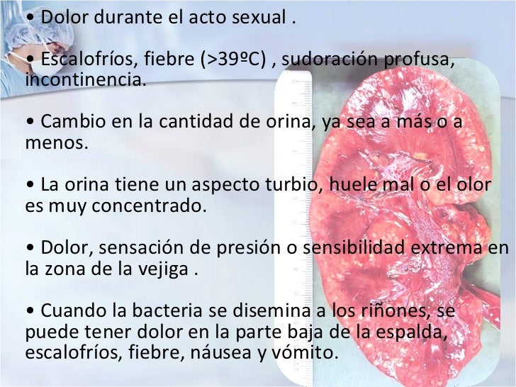Infección urinaria Infección urinaria