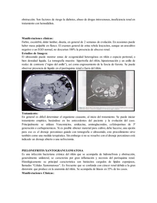 obstrucción. Son factores de riesgo la diabetes, abuso de drogas intravenosas, insuficiencia renal en
tratamiento con hemodiálisis.
Manifestaciones clínicas:
Fiebre, escalofrió, dolor lumbar, disuria, en general de 2 semanas de evolución. En ocasiones puede
haber masa palpable en flanco. El examen general de orina rebela leucocitos, aunque un urocultivo
negativo o un EGO normal, no descartan 100% la presencia de absceso renal.
Estudios de Imagen:
El ultrasonido puede mostrar zonas de ecogenicidad heterogénea en riñón o espacio perirenal, o
bien densidad liquida. La tomografía muestra hipertrofia del riñón, hipoatenuación y un anillo de
realce de contraste (“signo del anillo”), así como engrosamiento de la fascia de Gerota. Se puede
observar presencia de líquido en el parénquima renal o fuera del riñón.
Tratamiento:
En general es difícil determinar el organismo causante, al inicio del tratamiento. Se puede iniciar
tratamiento empírico, basándose en los antecedentes del paciente y la evolución del caso.
Principalmente se utilizan Vancomicina, amikacina, aminoglucosidos, cefalosporinas de 3ª
generación o carbapenemicos. Si es posible obtener material para cultivo, debe hacerse, una opción
para eso es el drenaje percutáneo guiado con tomografia o ultrasonido, este procedimiento sirve
también como una medida terapéutica. Sin embargo si no se resuelve con el drenaje percutáneo está
indicado un drenaje abierto o una nefrectomía.
PIELONEFRITIS XANTOGRANULOMATOSA
Es una infección bacteriana crónica del riñón que se acompaña de hidronefrosis y obstrucción,
generalmente unilateral, se caracteriza por gran inflamación y necrosis del parénquima renal.
Histológicamente su principal característica son histiocitos cargados de lípidos esponjosos,
llamadas “Células Xantomatosas”. Es frecuente que se confunda con cáncer renal debido a la gran
distorsión que produce en la anatomía del riñón. Se acompaña de litiasis en 35% de los casos.
Manifestaciones Clínicas:
 