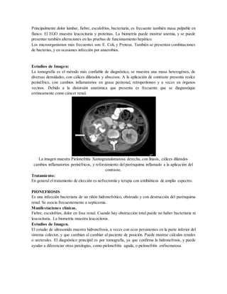 Principalmente dolor lumbar, fiebre, escalofríos, bacteriuria, es frecuente también masa palpable en
flanco. El EGO muestra leucocituria y proteínas. La biometría puede mostrar anemia, y se puede
presentar también alteraciones en las pruebas de funcionamiento hepático.
Los microorganismos más frecuentes son: E. Coli, y Proteus. También se presentan combinaciones
de bacterias, y en ocasiones infección por anaerobios.
Estudios de Imagen:
La tomografía es el método más confiable de diagnóstico, se muestra una masa heterogénea, de
diversas densidades, con cálices dilatados y abscesos. A la aplicación de contraste presenta realce
perinéfrico, con cambios inflamatorios en grasa perirenal, retroperitoneo y a veces en órganos
vecinos. Debido a la distorsión anatómica que presenta es frecuente que se diagnostique
erróneamente como cáncer renal.
La imagen muestra Pielonefritis Xantogranulomatosa derecha, con litiasis, cálices dilatados
cambios inflamatorios perinéfricos, y reforzamiento del parénquima inflamado a la aplicación del
contraste.
Tratamiento:
En general el tratamiento de elección es nefrectomía y terapia con antibióticos de amplio espectro.
PIONEFROSIS
Es una infección bacteriana de un riñón hidronefrótico, obstruido y con destrucción del parénquima
renal. Se asocia frecuentemente a septicemia.
Manifestaciones clínicas.
Fiebre, escalofríos, dolor en fosa renal. Cuando hay obstrucción total puede no haber bacteriuria ni
leucocituria. La biometría muestra leucocitosis.
Estudios de Imagen.
El estudio de ultrasonido muestra hidronefrosis, a veces con ecos persistentes en la parte inferior del
sistema colector, y que cambian al cambiar al paciente de posición. Puede mostrar cálculos renales
o ureterales. El diagnóstico principal es por tomografía, ya que confirma la hidronefrosis, y puede
ayudar a diferenciar otras patologías, como pielonefritis aguda, o pielonefritis enfisematosa.
 
