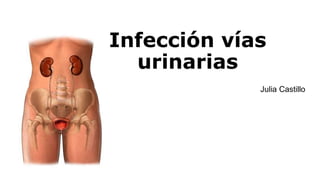 Infección vías
urinarias
Julia Castillo
 