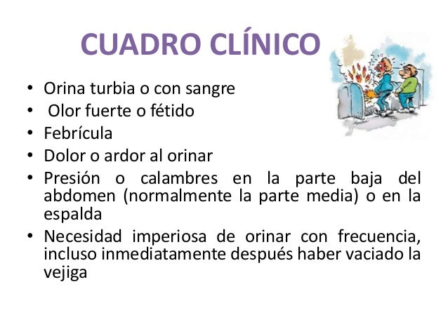 El dolor que da en la espalda es más alto de los riñones
