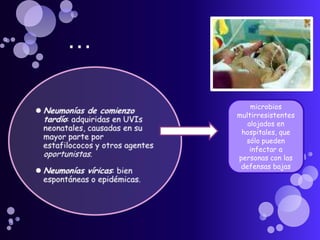     . . .Neumonías de comienzo tardío: adquiridas en UVIs neonatales, causadas en su mayor parte por estafilococos y otros agentes oportunistas.Neumonías víricas: bien espontáneas o epidémicas.microbios multirresistentes alojados en hospitales, que sólo pueden infectar a personas con las defensas bajas