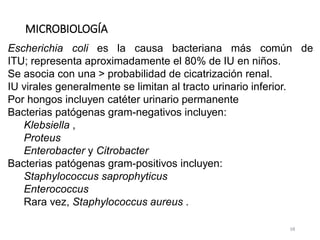 MICROBIOLOGÍA
10
Escherichia coli es la causa bacteriana más común de
ITU; representa aproximadamente el 80% de IU en niños.
Se asocia con una > probabilidad de cicatrización renal.
IU virales generalmente se limitan al tracto urinario inferior.
Por hongos incluyen catéter urinario permanente
Bacterias patógenas gram-negativos incluyen:
Klebsiella ,
Proteus
Enterobacter y Citrobacter
Bacterias patógenas gram-positivos incluyen:
Staphylococcus saprophyticus
Enterococcus
Rara vez, Staphylococcus aureus .
 