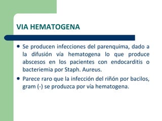 VIA HEMATOGENA Se producen infecciones del parenquima, dado a la difusión vía hematogena lo que produce abscesos en los pacientes con endocarditis o bacteriemia por Staph. Aureus. Parece raro que la infección del riñón por bacilos, gram (-) se produzca por vía hematogena. 