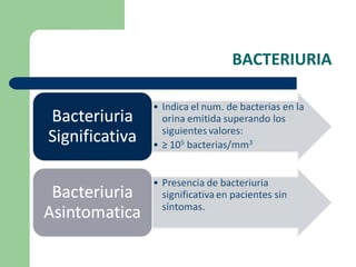 BACTERIURIA 