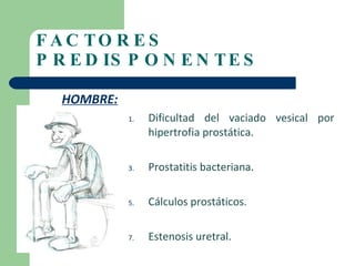 FACTORES PREDISPONENTES HOMBRE: Dificultad del vaciado vesical por hipertrofia prostática. Prostatitis bacteriana. Cálculos prostáticos. Estenosis uretral. 