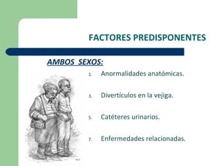 FACTORES PREDISPONENTES AMBOS  SEXOS: Anormalidades anatómicas. Divertículos en la vejiga. Catéteres urinarios. Enfermedades relacionadas. 