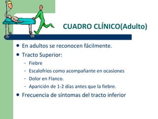 CUADRO CLÍNICO(Adulto) En adultos se reconocen fácilmente. Tracto Superior: Fiebre Escalofríos como acompañante en ocasiones Dolor en Flanco. Aparición de 1-2 días antes que la fiebre. Frecuencia de síntomas del tracto inferior 