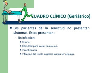 CUADRO CLÍNICO (Geriátrico) Los pacientes de la senectud no presentan síntomas. Estos presentan: Sin infección:  Disuria. Dificultad para iniciar la micción. Incontinencia Infección del tracto superior suelen ser atípicos. 