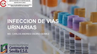 INFECCION DE VIAS
URINARIAS
MD. CARLOS ANDRES OSORIO GOMEZ
 