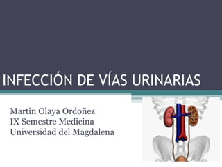 INFECCIÓN DE VÍAS URINARIAS
 Martin Olaya Ordoñez
 IX Semestre Medicina
 Universidad del Magdalena
 