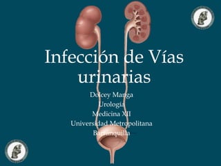 Infección de Vías 
urinarias 
Dolcey Manga 
Urología 
Medicina XII 
Universidad Metropolitana 
Barranquilla 
 